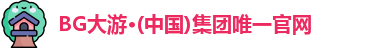 BG大游